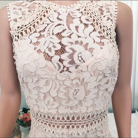 Blush Floral Cocktail Dress Pink Eyelet Lace Dress - Picture 7 of 7